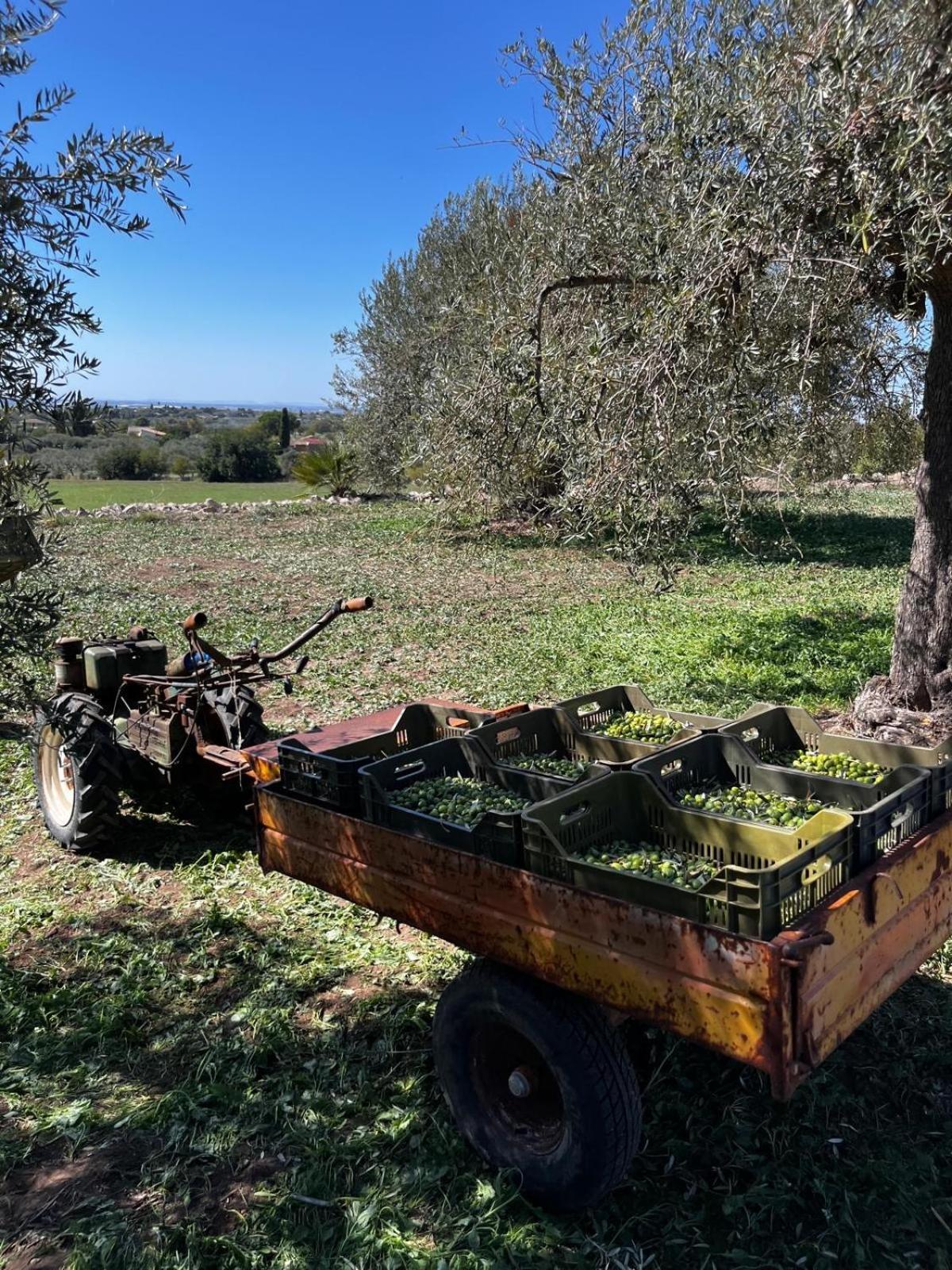 La Bella Vita Agriturismo Chiaramonte Gulfi Kültér fotó